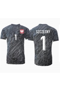 Polen Wojciech Szczesny #1 Keeper Fotballdrakt Borte Klær EM 2024 Korte ermer